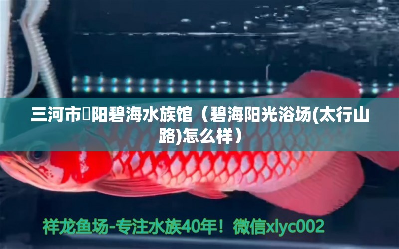 三河市泃陽(yáng)碧海水族館（碧海陽(yáng)光浴場(chǎng)(太行山路)怎么樣）