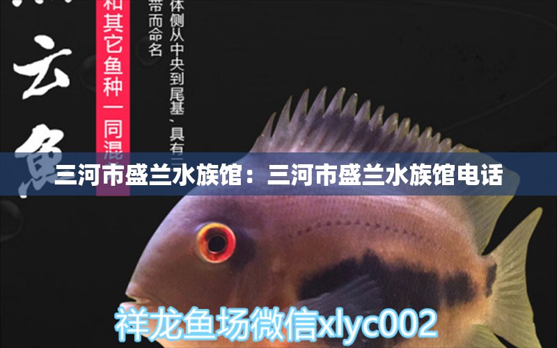 三河市盛蘭水族館：三河市盛蘭水族館電話 全國水族館企業(yè)名錄