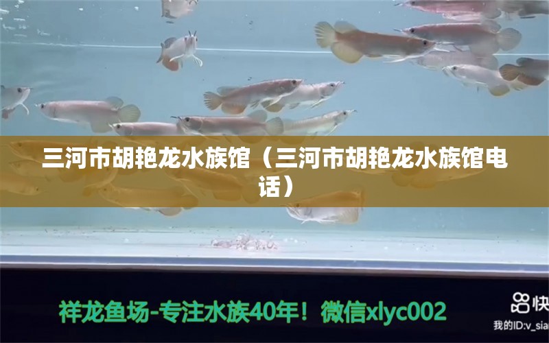 三河市胡艷龍水族館（三河市胡艷龍水族館電話） 全國水族館企業(yè)名錄