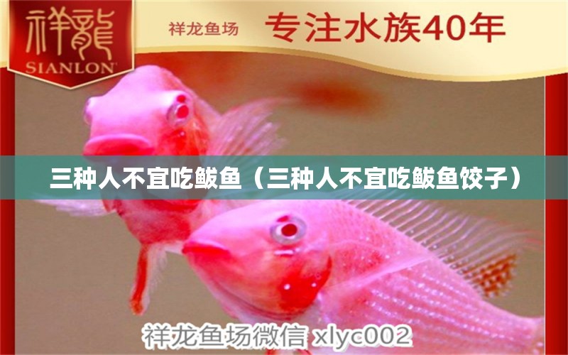 三種人不宜吃鲅魚(yú)（三種人不宜吃鲅魚(yú)餃子）