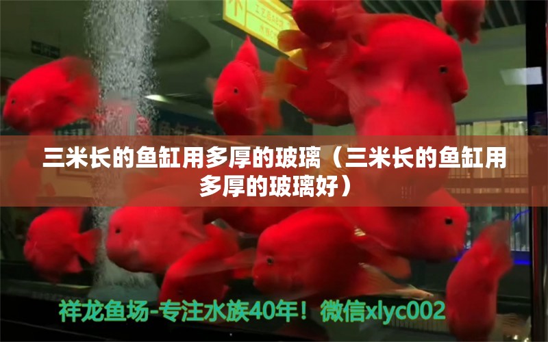 三米長(zhǎng)的魚缸用多厚的玻璃（三米長(zhǎng)的魚缸用多厚的玻璃好）