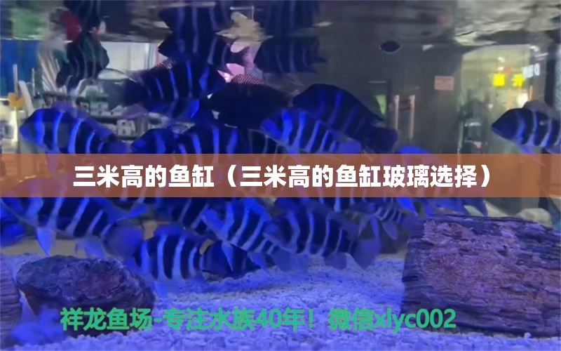 三米高的魚缸（三米高的魚缸玻璃選擇）