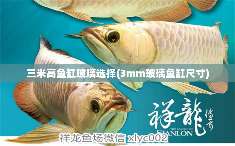 三米高魚缸玻璃選擇(3mm玻璃魚缸尺寸) 斑馬鴨嘴魚