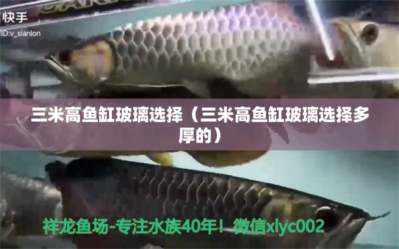 三米高魚缸玻璃選擇（三米高魚缸玻璃選擇多厚的） 其他品牌魚缸