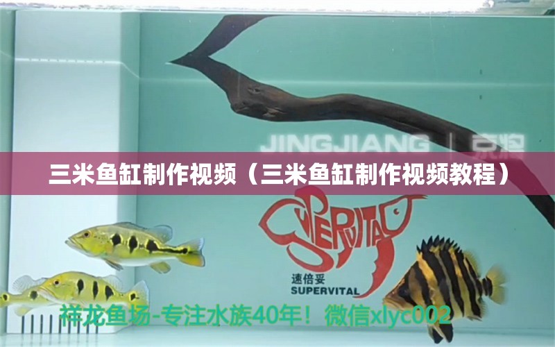 三米魚缸制作視頻（三米魚缸制作視頻教程） 其他品牌魚缸