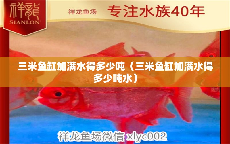 三米魚缸加滿水得多少噸（三米魚缸加滿水得多少噸水） 魚缸百科