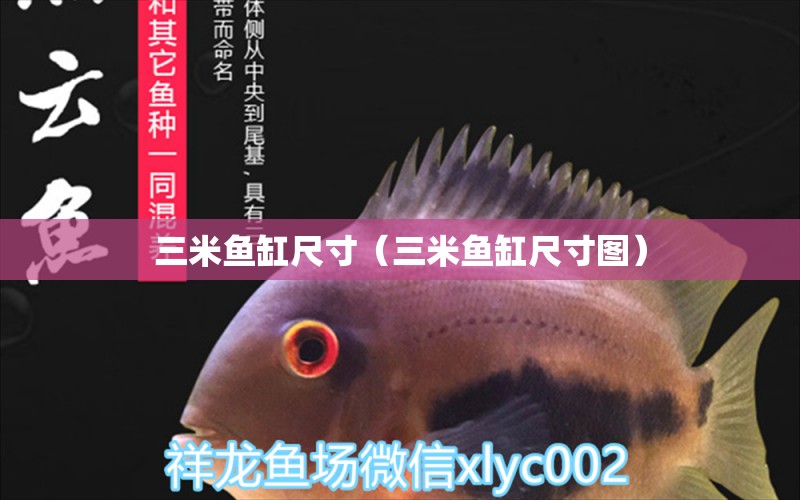 三米魚缸尺寸（三米魚缸尺寸圖） 魚缸百科