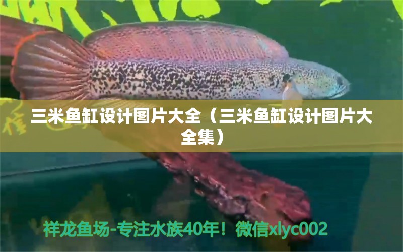 三米魚缸設計圖片大全（三米魚缸設計圖片大全集） 其他品牌魚缸