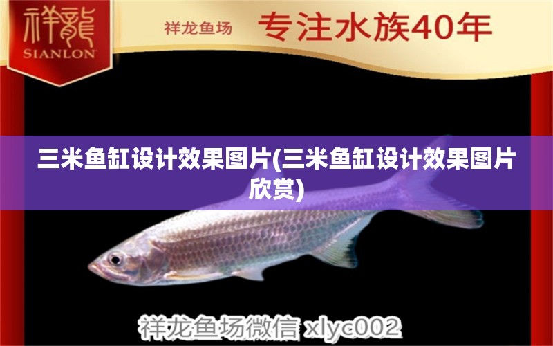 三米魚缸設(shè)計效果圖片(三米魚缸設(shè)計效果圖片欣賞) 白子關(guān)刀魚 第2張