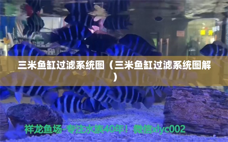 三米魚缸過濾系統(tǒng)圖（三米魚缸過濾系統(tǒng)圖解）