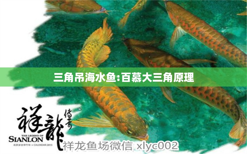 三角吊海水魚:百慕大三角原理