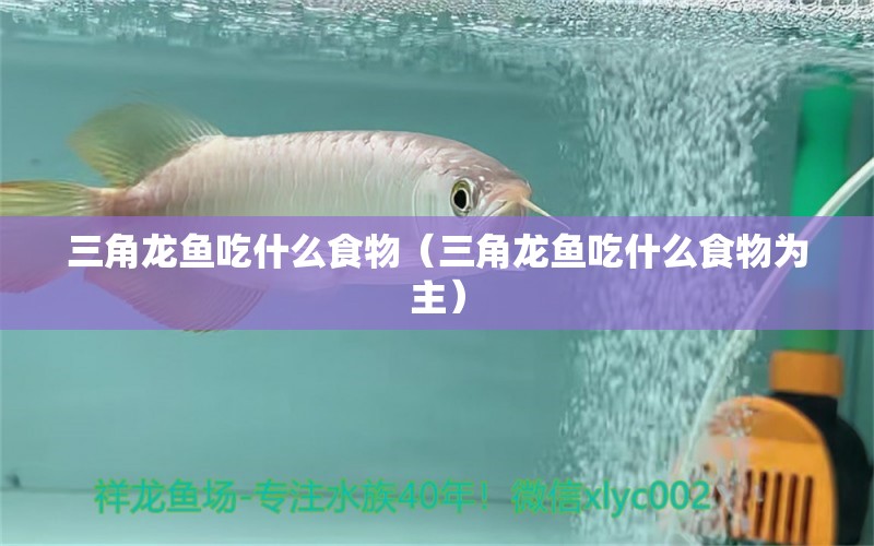 三角龍魚(yú)吃什么食物（三角龍魚(yú)吃什么食物為主）