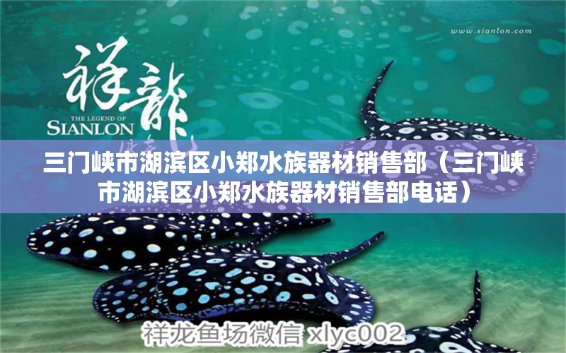 三門峽市湖濱區(qū)小鄭水族器材銷售部（三門峽市湖濱區(qū)小鄭水族器材銷售部電話）