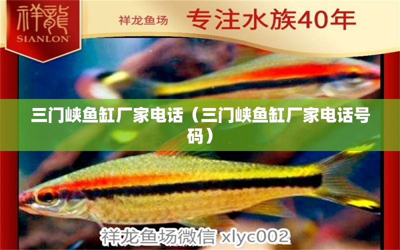 三門峽魚缸廠家電話（三門峽魚缸廠家電話號(hào)碼） 祥龍水族醫(yī)院