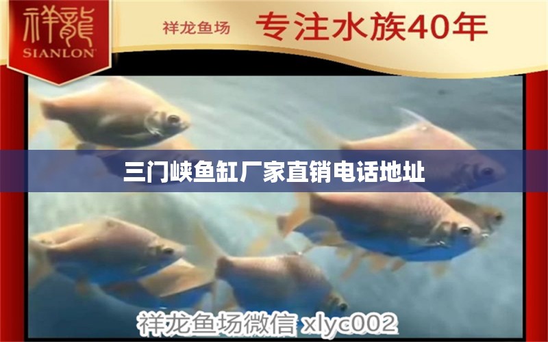 三門峽魚缸廠家直銷電話地址 祥龍魚場