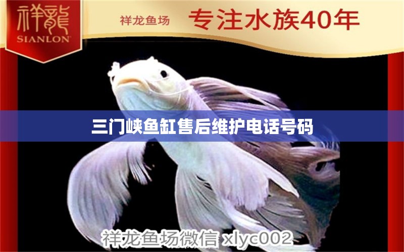 三門峽魚缸售后維護(hù)電話號碼 其他品牌魚缸