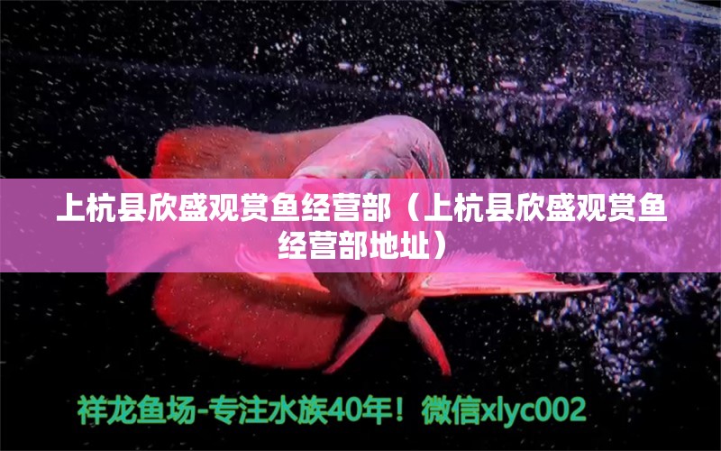 上杭縣欣盛觀賞魚(yú)經(jīng)營(yíng)部（上杭縣欣盛觀賞魚(yú)經(jīng)營(yíng)部地址）