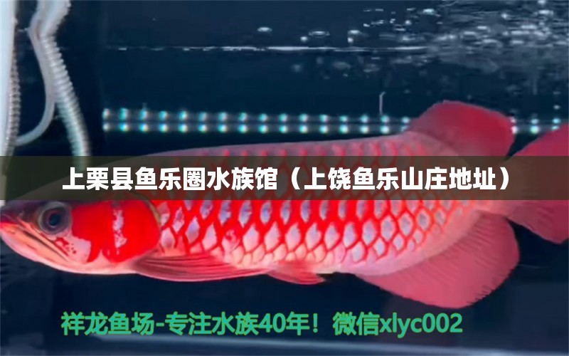 上栗縣魚樂(lè)圈水族館（上饒魚樂(lè)山莊地址）