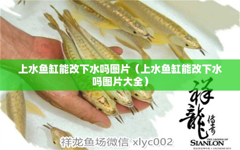 上水魚缸能改下水嗎圖片（上水魚缸能改下水嗎圖片大全）