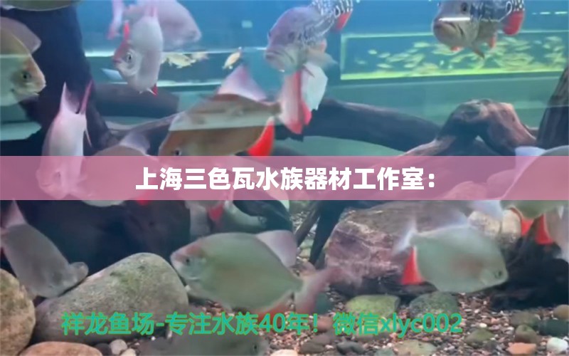 上海三色瓦水族器材工作室：