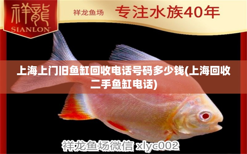 上海上門舊魚缸回收電話號(hào)碼多少錢(上海回收二手魚缸電話) 潛水艇魚