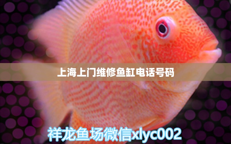 上海上門維修魚缸電話號(hào)碼 其他品牌魚缸