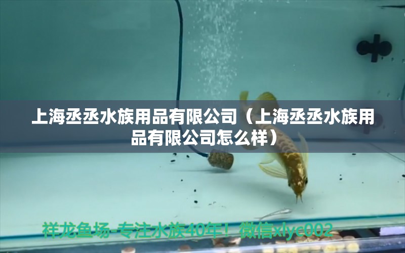 上海丞丞水族用品有限公司（上海丞丞水族用品有限公司怎么樣） 水族用品