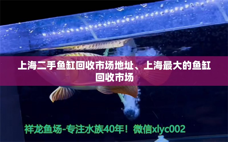 上海二手魚缸回收市場(chǎng)地址、上海最大的魚缸回收市場(chǎng) 紅尾平克魚