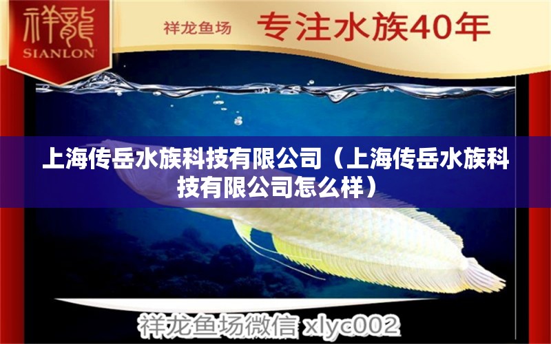 上海傳岳水族科技有限公司（上海傳岳水族科技有限公司怎么樣） 全國(guó)水族館企業(yè)名錄