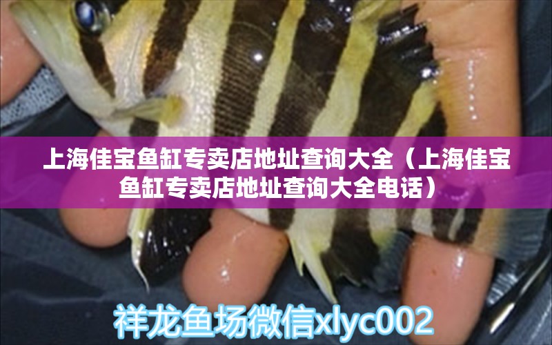 上海佳寶魚缸專賣店地址查詢大全（上海佳寶魚缸專賣店地址查詢大全電話） 祥龍水族醫(yī)院