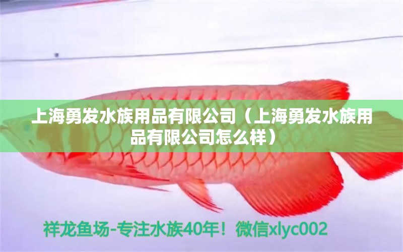 上海勇發(fā)水族用品有限公司（上海勇發(fā)水族用品有限公司怎么樣）