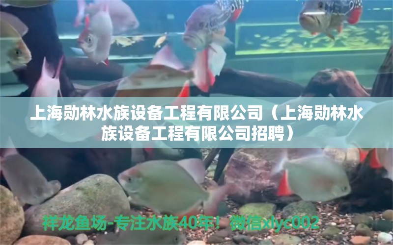 上海勛林水族設(shè)備工程有限公司（上海勛林水族設(shè)備工程有限公司招聘）