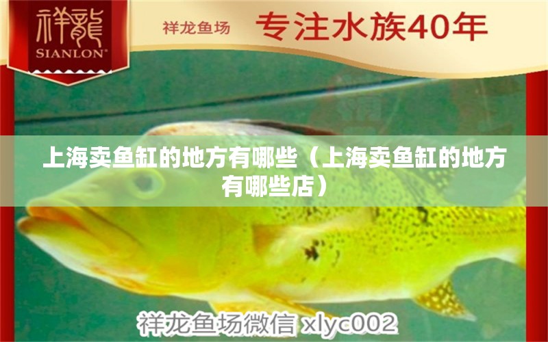 上海賣魚缸的地方有哪些（上海賣魚缸的地方有哪些店）