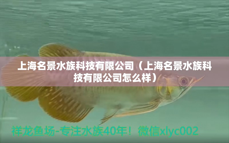 上海名景水族科技有限公司（上海名景水族科技有限公司怎么樣） 全國水族館企業(yè)名錄