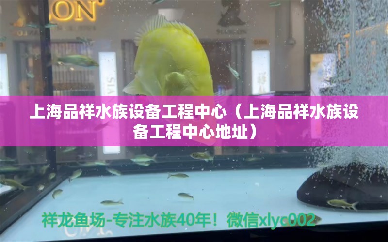 上海品祥水族設(shè)備工程中心（上海品祥水族設(shè)備工程中心地址） 全國水族館企業(yè)名錄