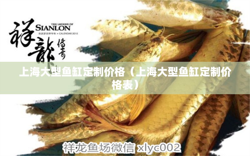 上海大型魚缸定制價格（上海大型魚缸定制價格表） 白子球鯊魚