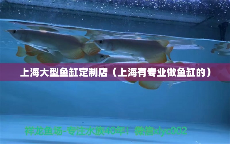 上海大型魚缸定制店（上海有專業(yè)做魚缸的）