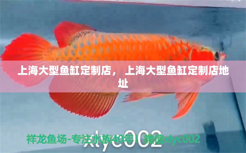 上海大型魚缸定制店， 上海大型魚缸定制店地址 印尼大湖漁場產業(yè)聯(lián)盟