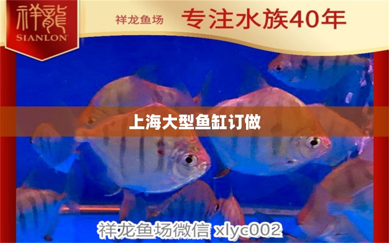 上海大型魚缸訂做