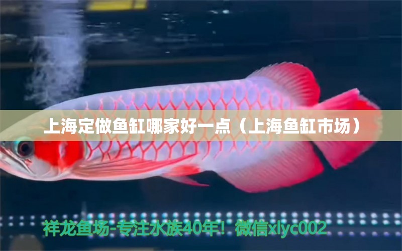 上海定做魚缸哪家好一點（上海魚缸市場）