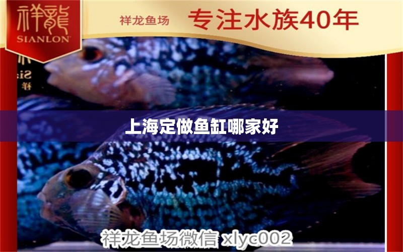 上海定做魚缸哪家好