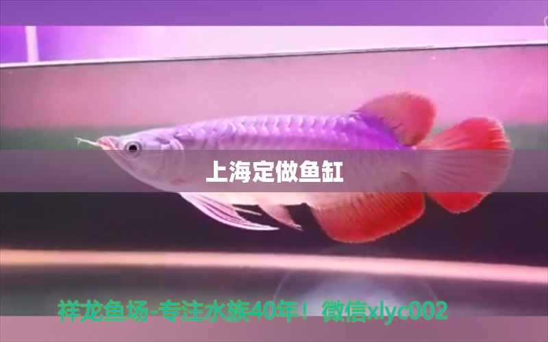 上海定做魚缸