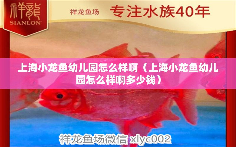 上海小龍魚幼兒園怎么樣?。ㄉ虾Ｐ↓堲~幼兒園怎么樣啊多少錢）