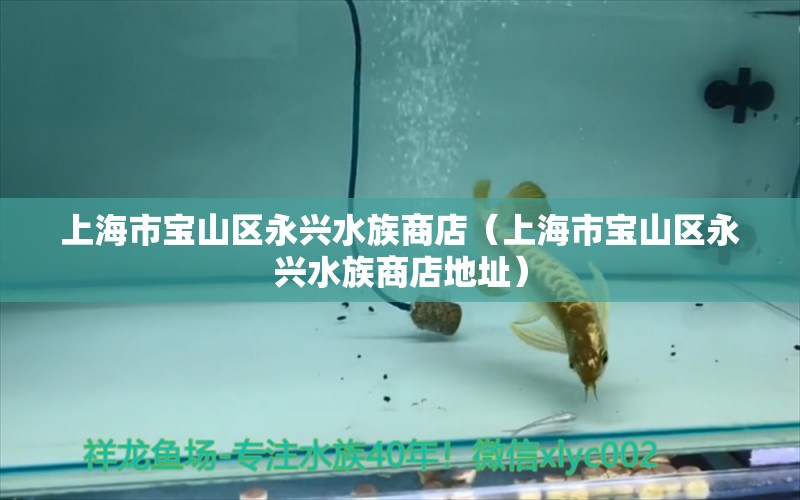 上海市寶山區(qū)永興水族商店（上海市寶山區(qū)永興水族商店地址） 全國(guó)水族館企業(yè)名錄