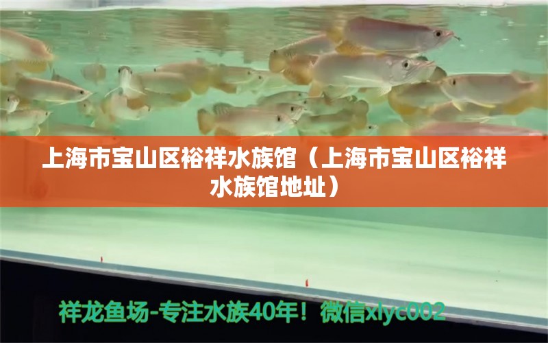 上海市寶山區(qū)裕祥水族館（上海市寶山區(qū)裕祥水族館地址） 全國水族館企業(yè)名錄