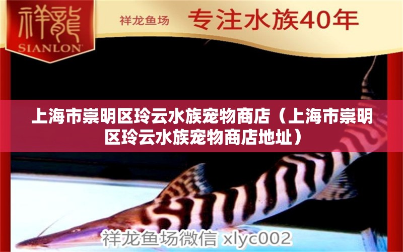 上海市崇明區(qū)玲云水族寵物商店（上海市崇明區(qū)玲云水族寵物商店地址） 全國水族館企業(yè)名錄