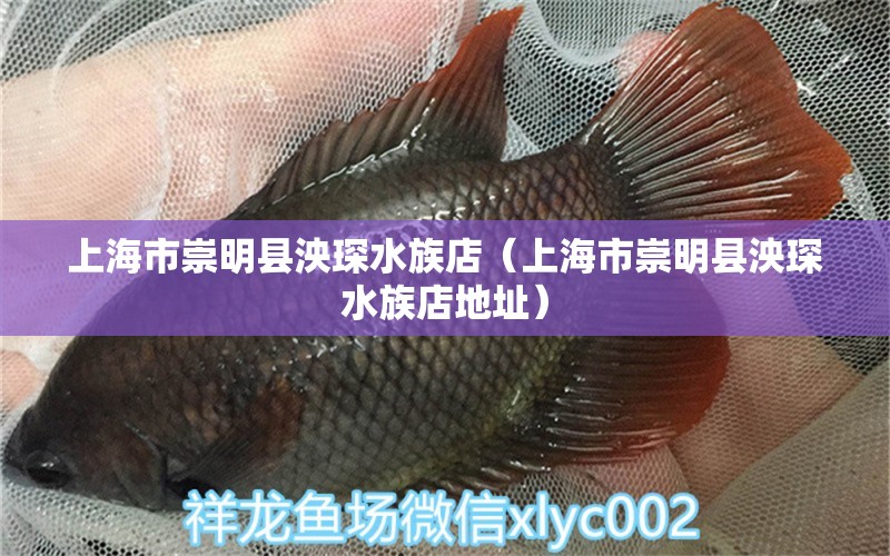 上海市崇明縣泱琛水族店（上海市崇明縣泱琛水族店地址） 全國水族館企業(yè)名錄