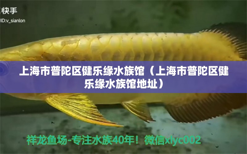 上海市普陀區(qū)健樂緣水族館（上海市普陀區(qū)健樂緣水族館地址） 全國水族館企業(yè)名錄