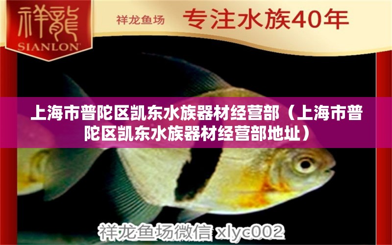 上海市普陀區(qū)凱東水族器材經(jīng)營(yíng)部（上海市普陀區(qū)凱東水族器材經(jīng)營(yíng)部地址）