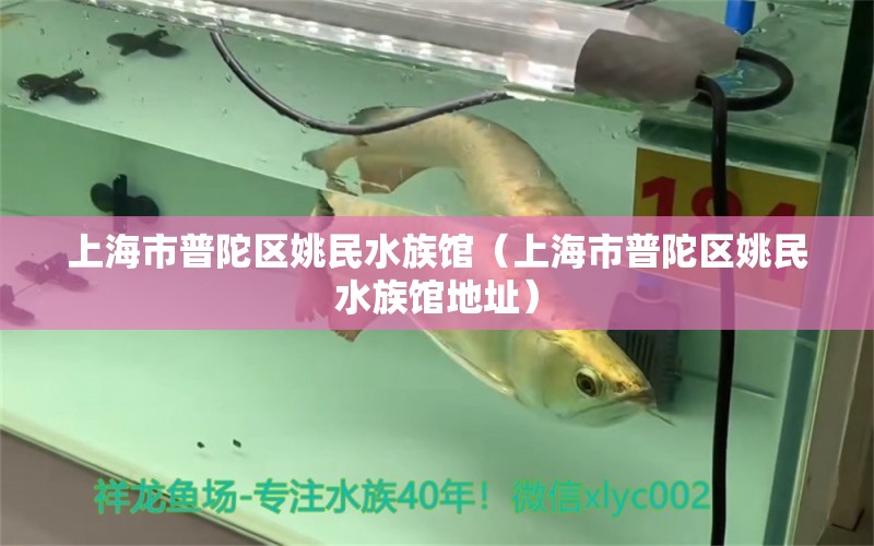 上海市普陀區(qū)姚民水族館（上海市普陀區(qū)姚民水族館地址）